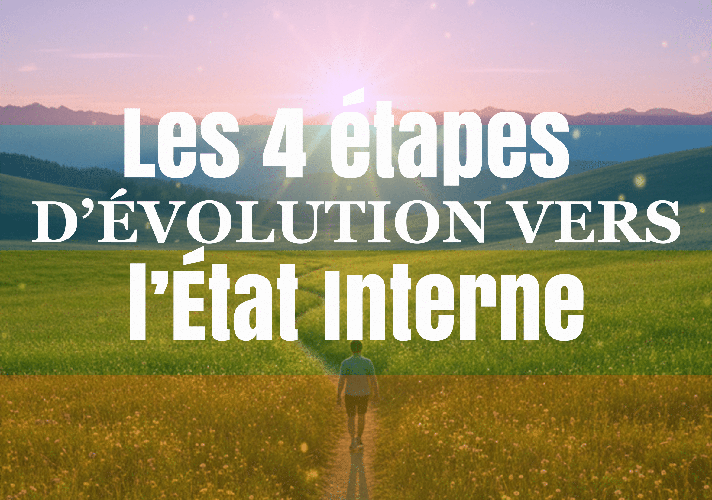 4 ns petit